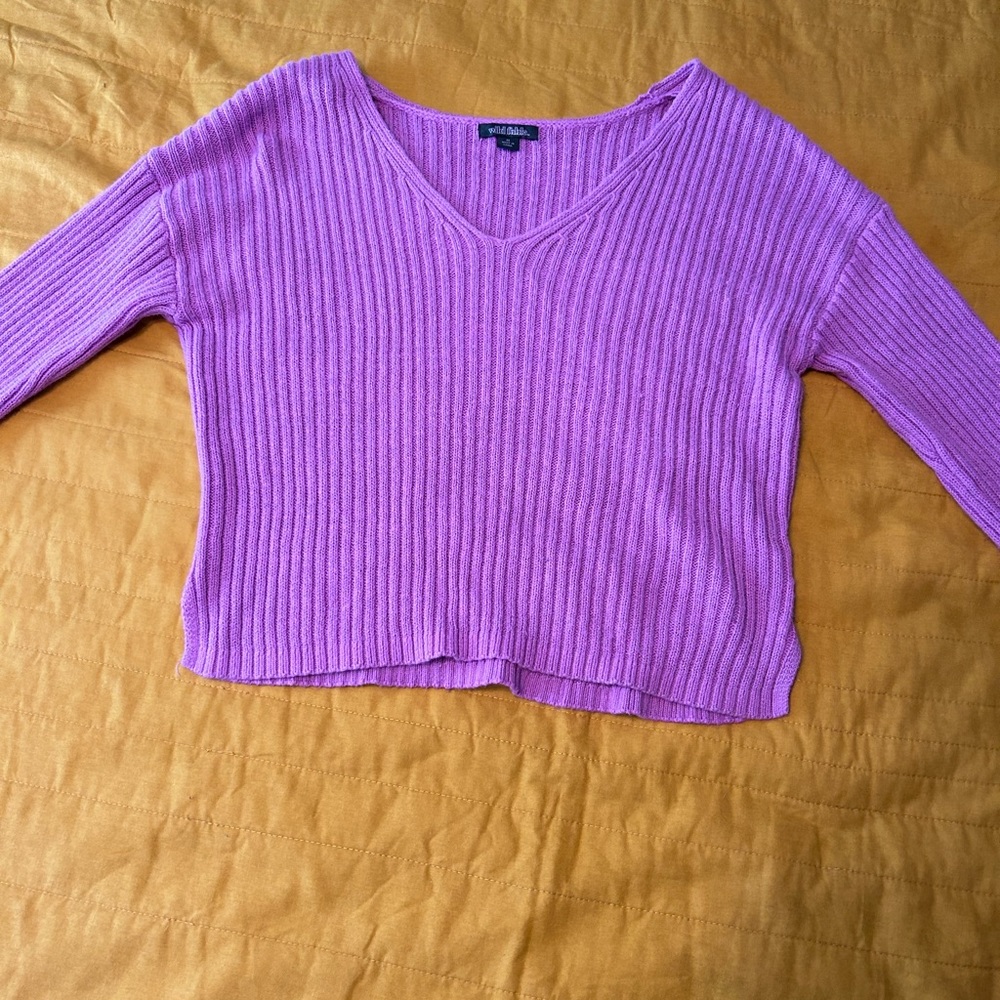 Cropped Purple Wild Fable Knitted Sweater